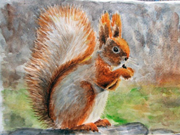 Белочка гуашью