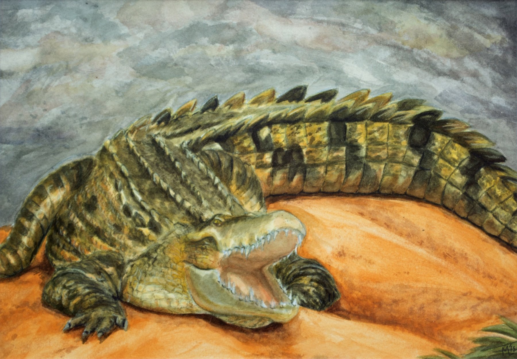 Крокодил акварелью