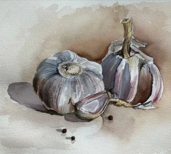 Чеснок акварелью
