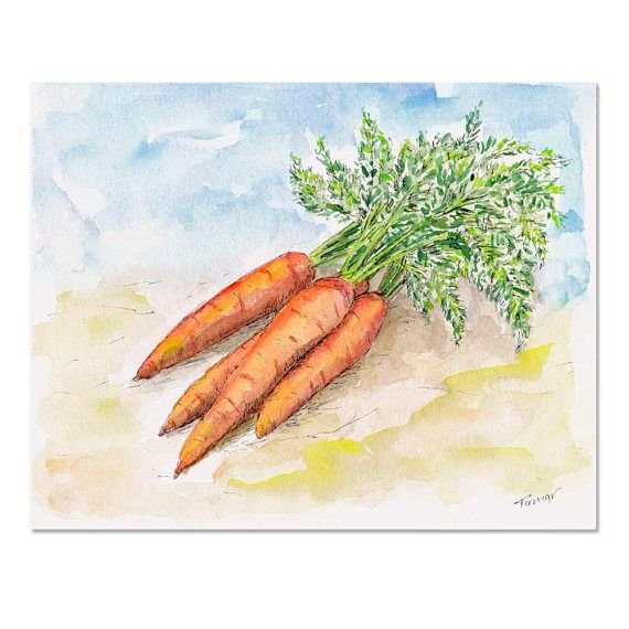 Скетчинг морковь