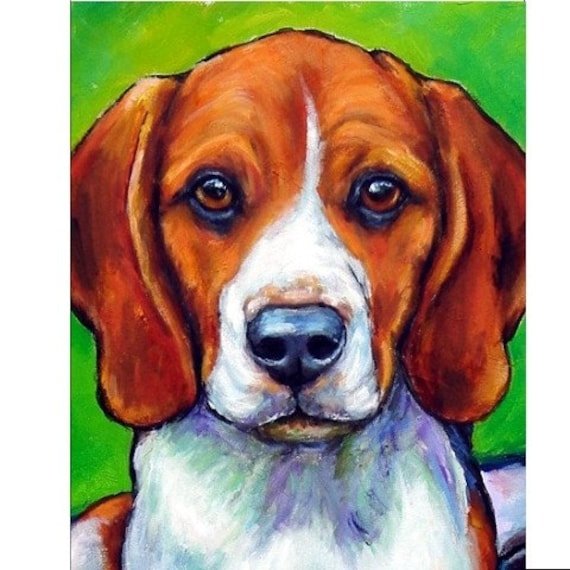 Бигль гуашью