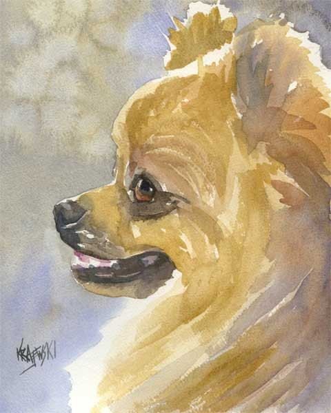 Шпиц гуашью