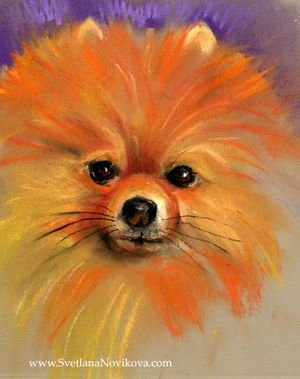 Живопись акрилом шпиц