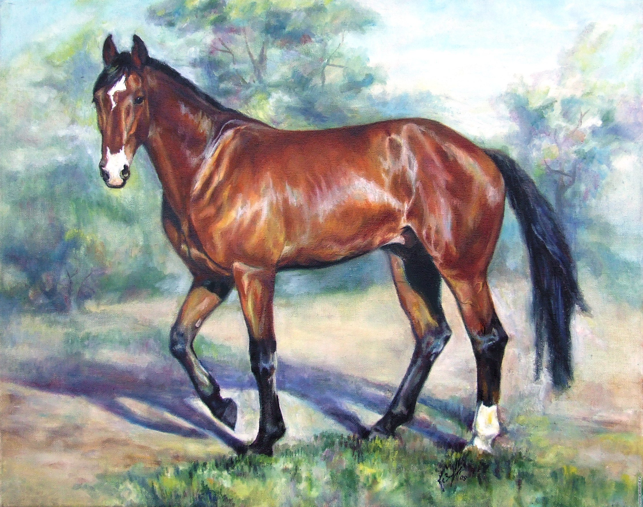 Лошадь картинки рисунки. Лошадь рисунок. Лошадь гуашью. Рисование лошади. Нарисовать лошадь.