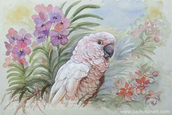 Тукан мастихином