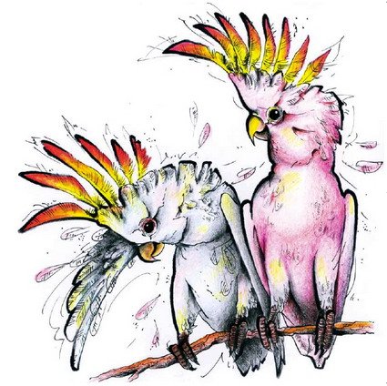 Какаду для рисования