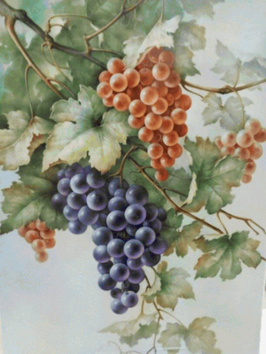 Живопись винограда гроздь Андрияка