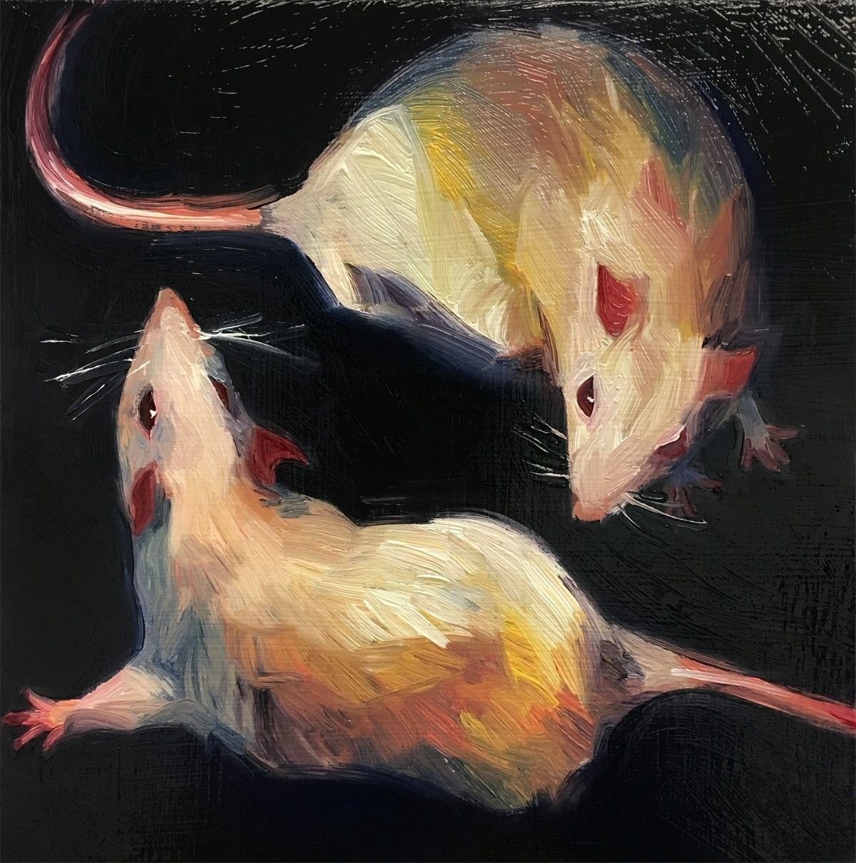 2 крысы рисунок