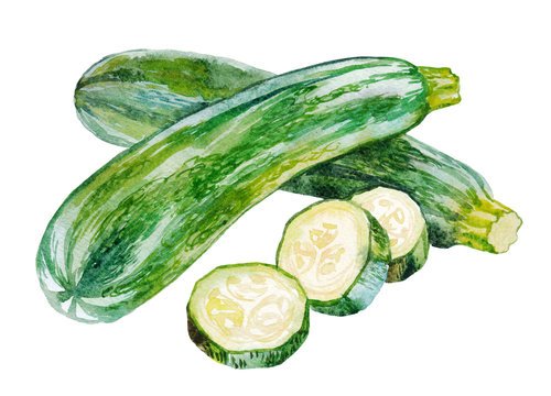 Цукини акварелью