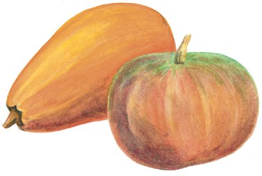 Нарисовать тыкву и кабачок