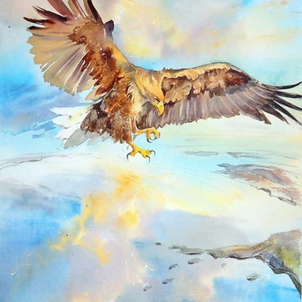Орлан акварель