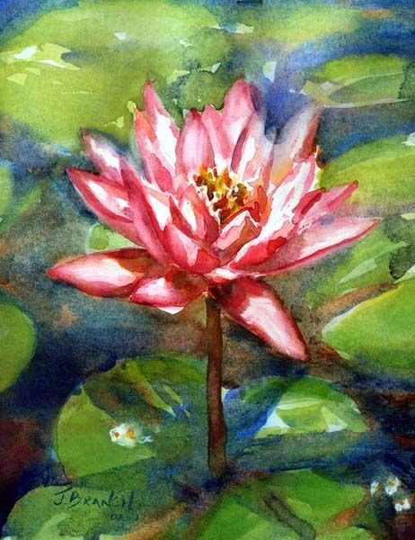 Лотос гуашью