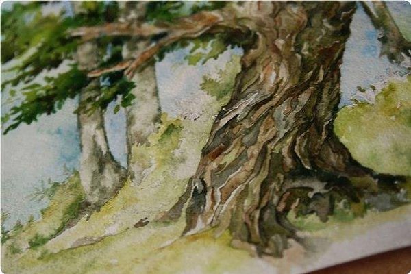 Этюд коры дерева акварель