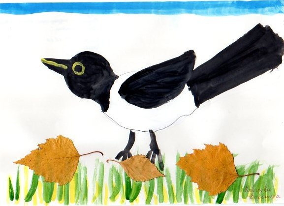 Рисование сорока белобока