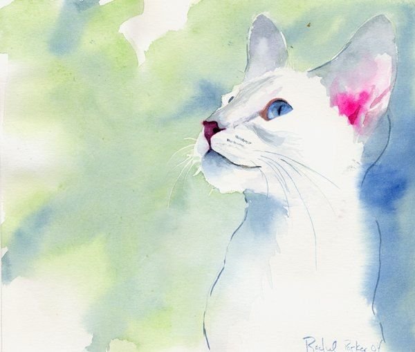 Рейчел Паркер кошки акварель