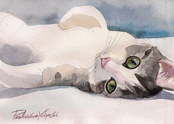 Белые коты рисунки акварелью
