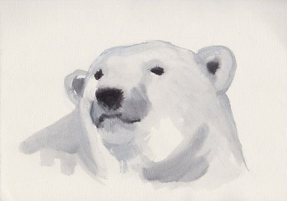 Морда белого медведя для рисования