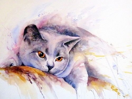 Британский кот акварель