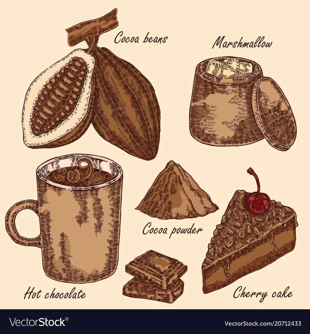 Какао Бобы и шоколад рисунок