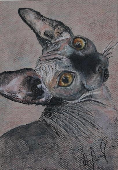 Сфинкс пастелью