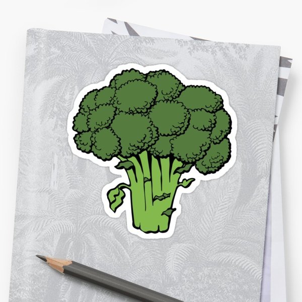 Broccoli Flashcards