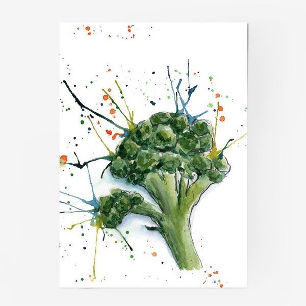 Цветная капуста акварель