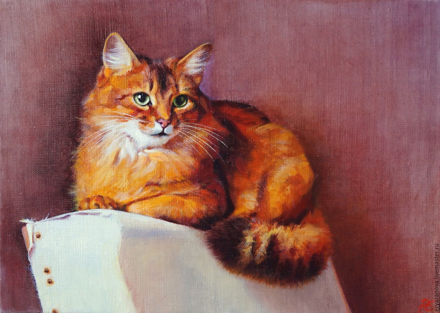 Рыжий кот сидит рисунок