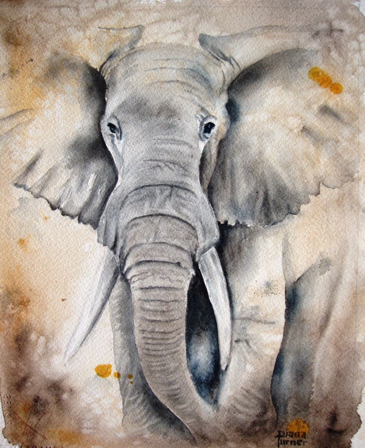 Картина слон акварель