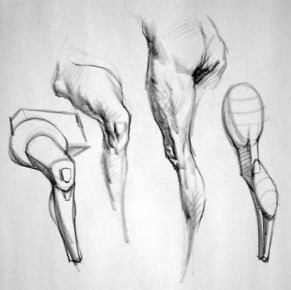 Колени набросок