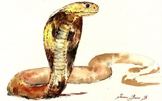 Кобра живопись