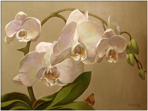 Орхидеи живопись маслом