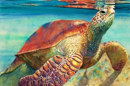 Морская черепаха Джим Варрен