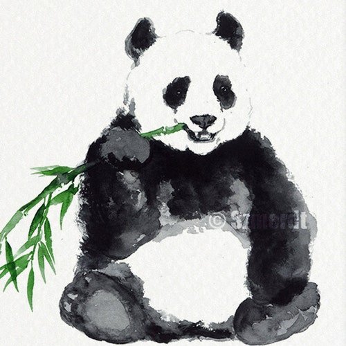 Панда рисунок красками