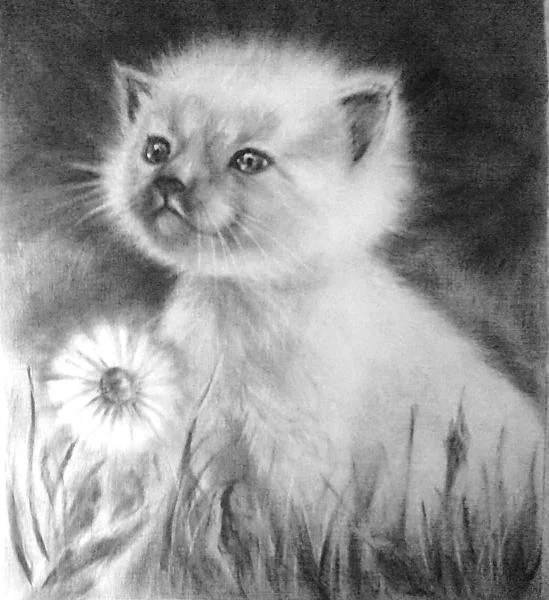 Рисование сухой кистью