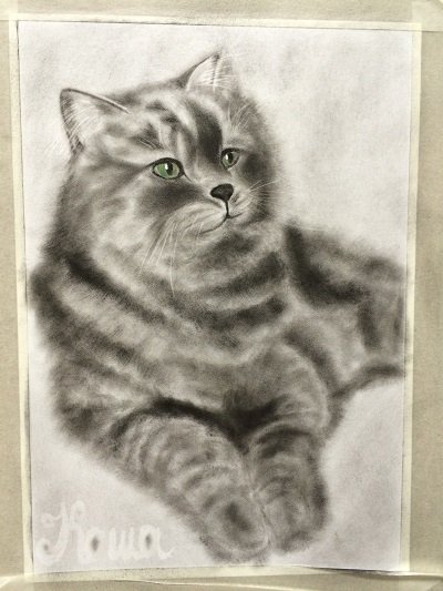 Рисование в технике сухая кисть