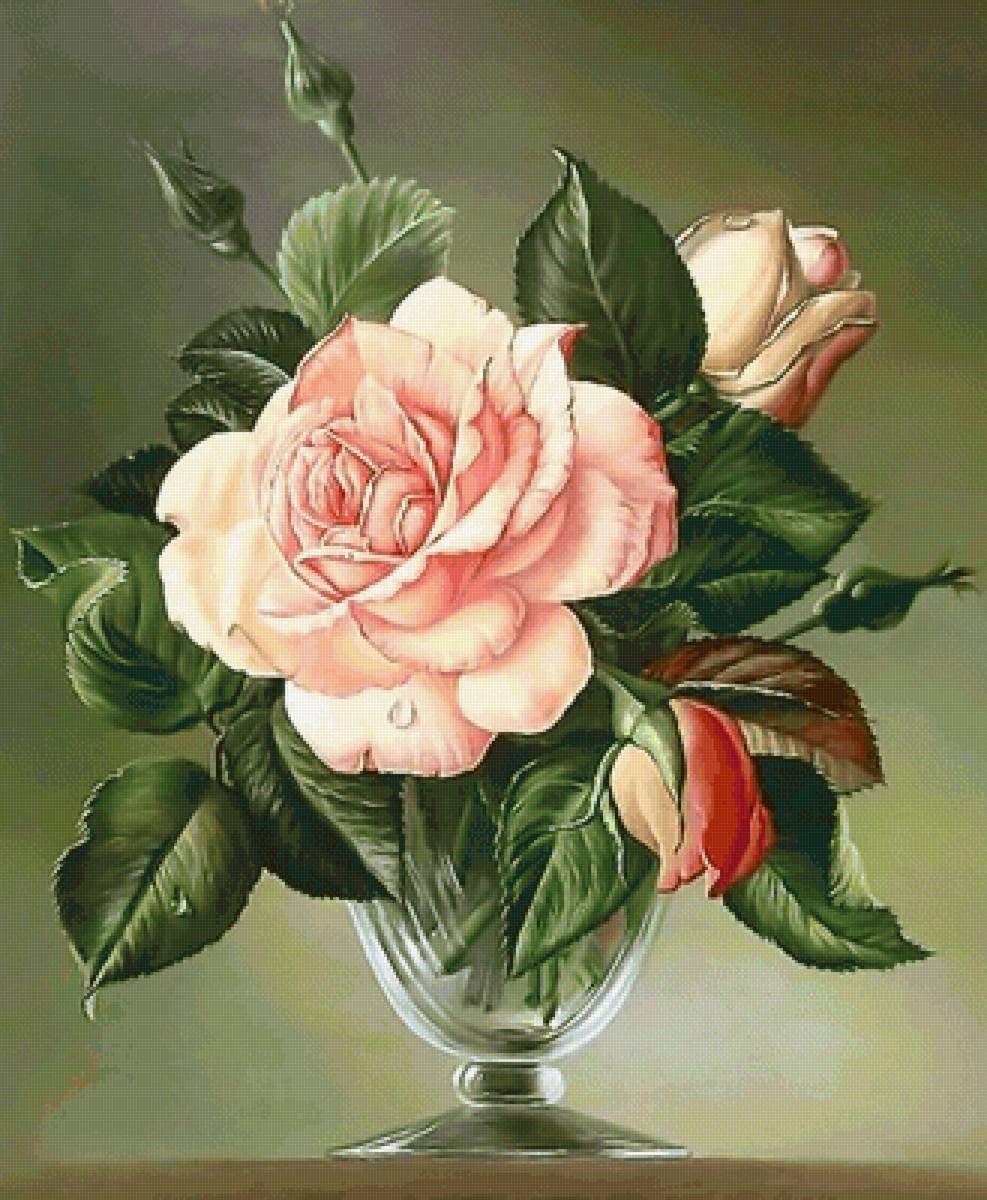 Сесил Кеннеди роза в стеклянном бокале