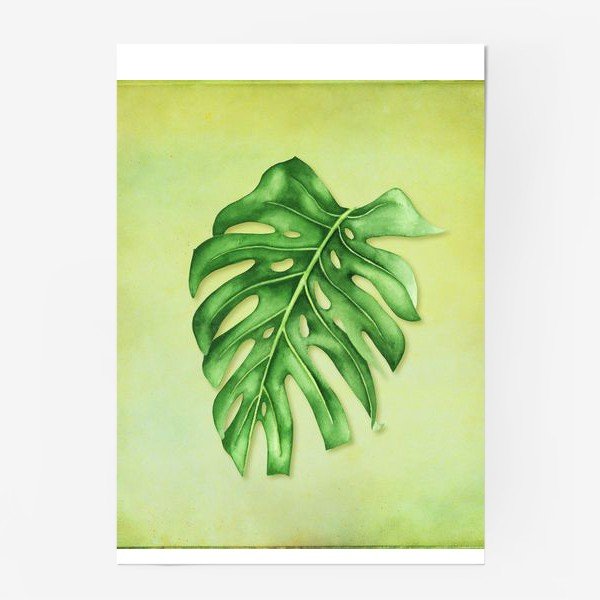 Скетчинг лист монстеры