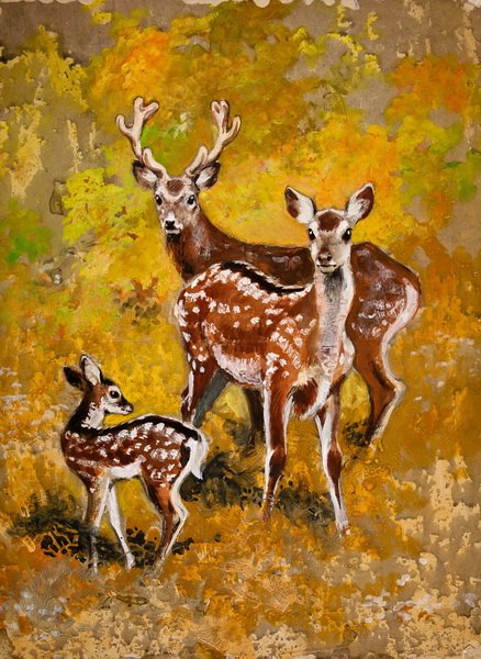 Олененок маслом