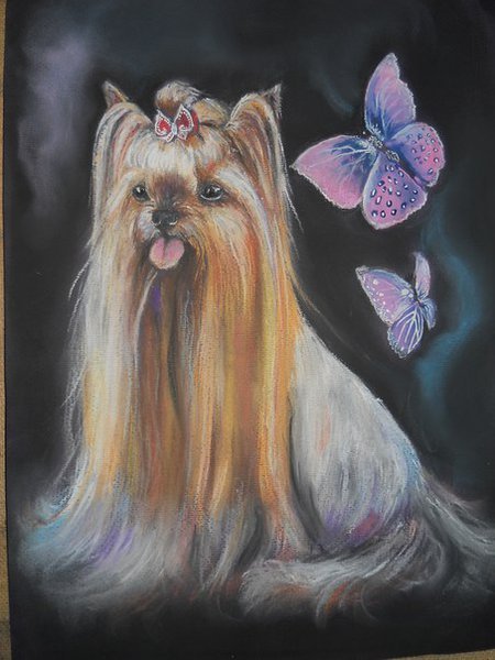 Собака в постели