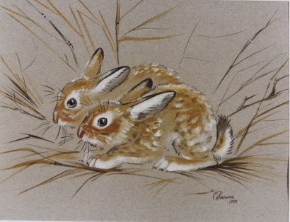 Заяц пастелью