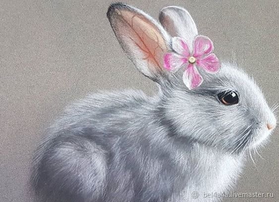 Заяц пастелью