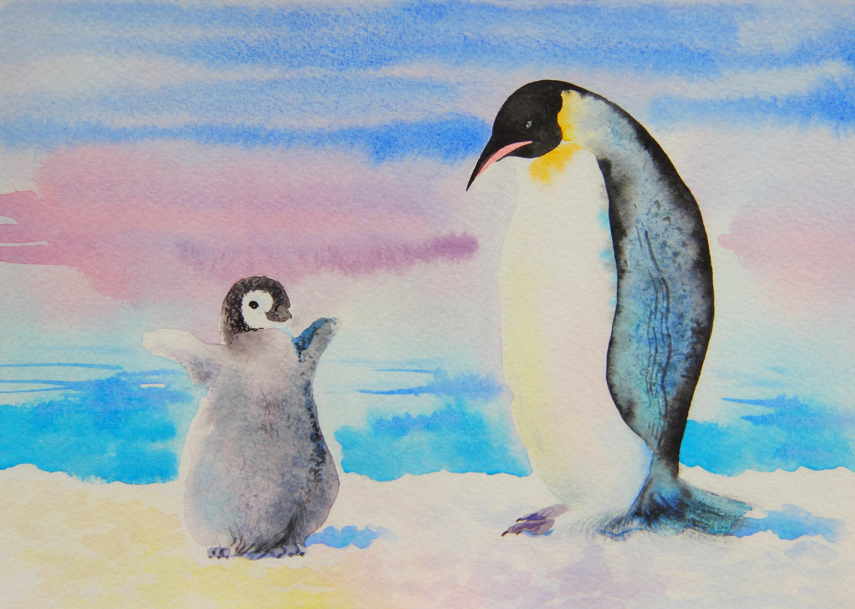Пингвины и Северное сияние