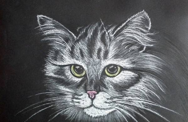 Рисование пастелью на черной бумаге