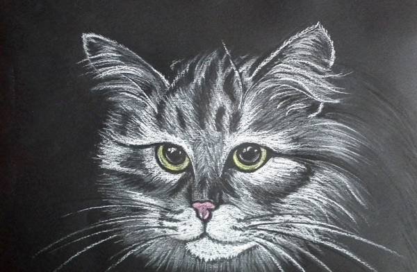 Пастель на бархатной бумаге