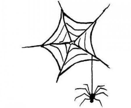 Эскизы тату паук с паутиной