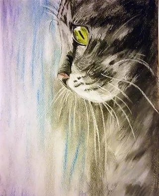 Кот восковыми мелками