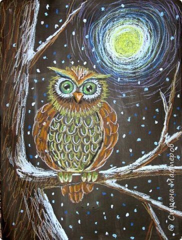 Сова пастелью для детей