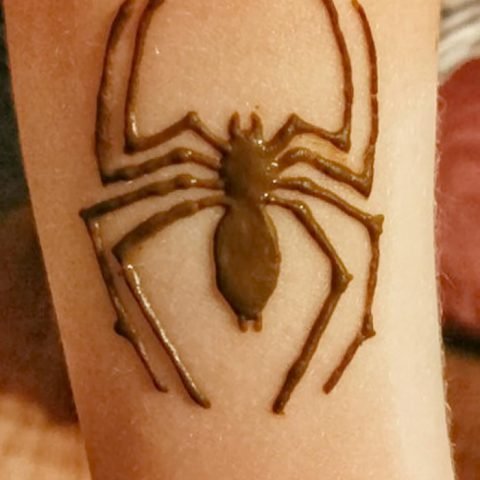 Паук хной на руке
