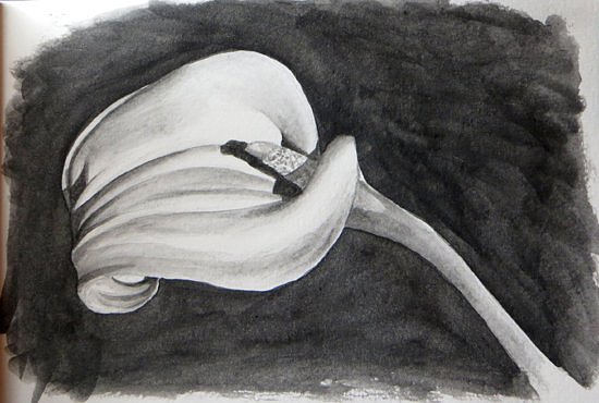 Рисунок порошком графита