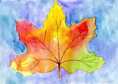 Осенние листья изо